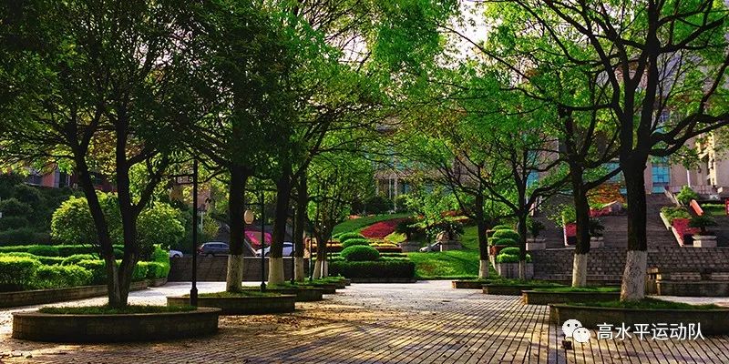 全场篮球分布规则个人怎么写_篮球全场五个人分布规则_篮球全场比赛规则