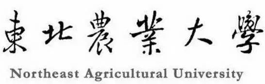 篮球赛加分规则_篮球加分_篮球的加分规则有哪些图片