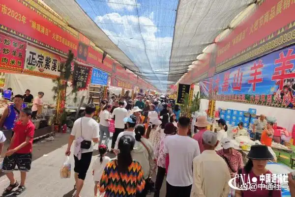 云南省楚雄游泳冠军赛_云南省游泳比赛成绩_云南游泳队全国最好成绩