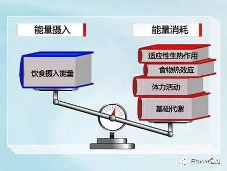 健身女生营养要求_女士健身补充哪些营养_营养健身女生要求多少岁